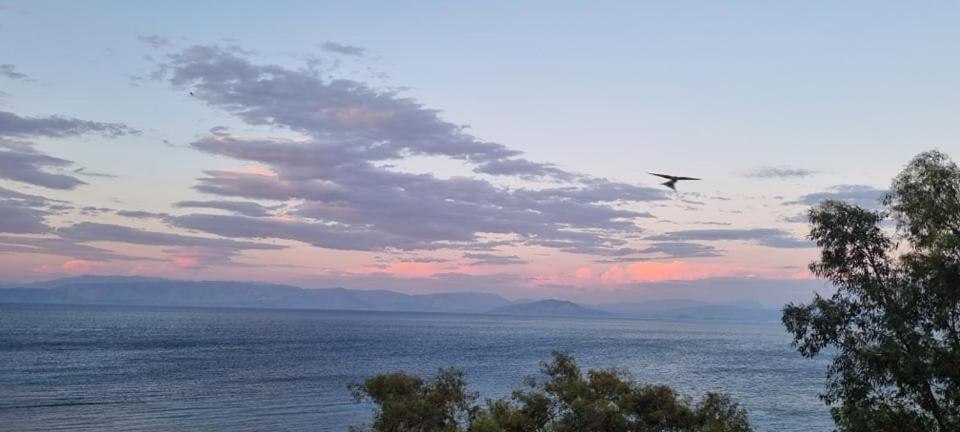 Ionian Mare Aparthotel Agios Ioannis Peristerion Buitenkant foto